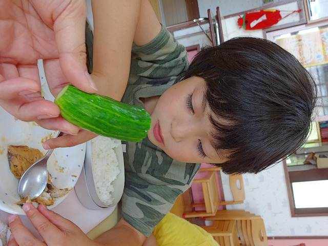 きゅうりの丸かじり 黒森保育園 酒田保育協会